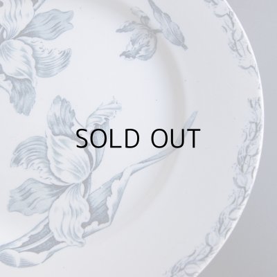 画像5: チューリップのお皿2枚セット　フランスアンティーク