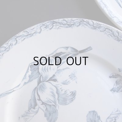 画像8: チューリップのお皿2枚セット　フランスアンティーク