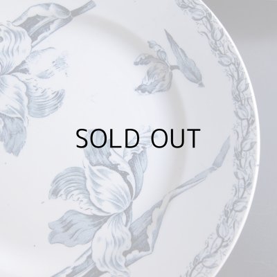 画像9: チューリップのお皿2枚セット　フランスアンティーク