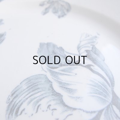 画像21: チューリップのお皿2枚セット　フランスアンティーク