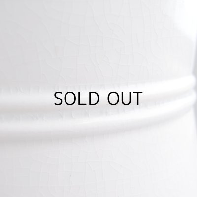 細かなカンニュウがあります