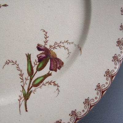 小さなコスモス