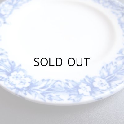 咲き誇る、リラの花