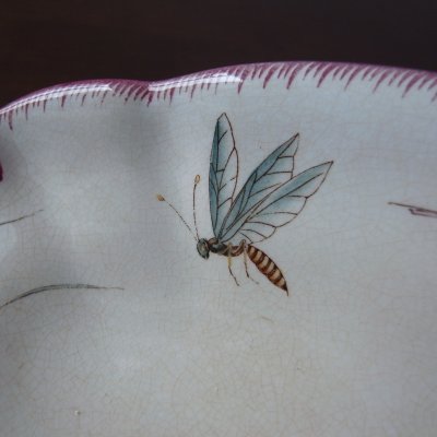 蝶が飛んでいます