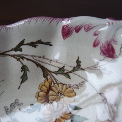 びっしりとカンニュウがあります