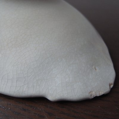 びっしりとカンニュウがあります