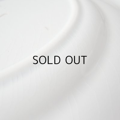 びっしりとカンニュウがあります