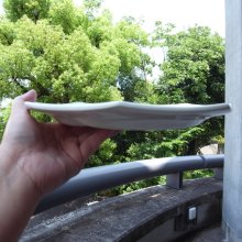 他の写真2: モントローのアスパラプレート　フランスアンティーク