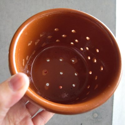 大きい方のサイズ感です