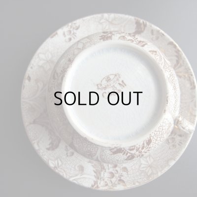 カンニュウがみられます