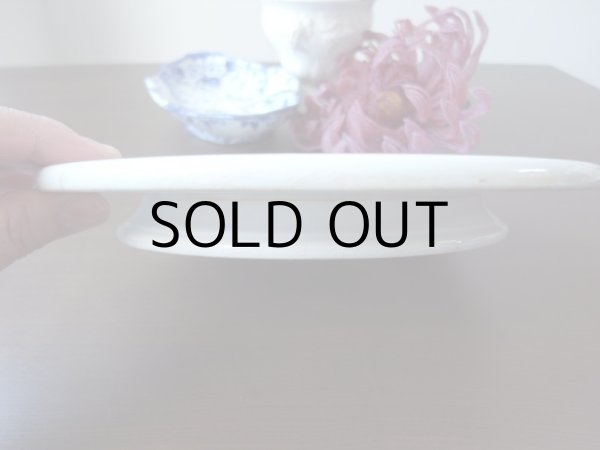 卓上にも置きやすい低さです。