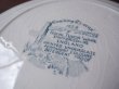 画像11: グリザイユのお皿  イギリスアンティーク  デッドストック (11)