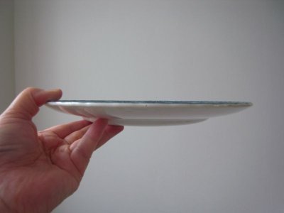 画像2: グリザイユのお皿  イギリスアンティーク  デッドストック